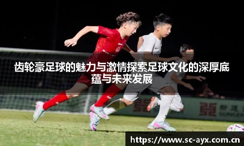 齿轮豪足球的魅力与激情探索足球文化的深厚底蕴与未来发展